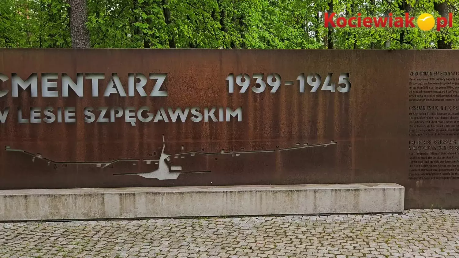 IPN wznowił badania w Lesie Szpęgawskim